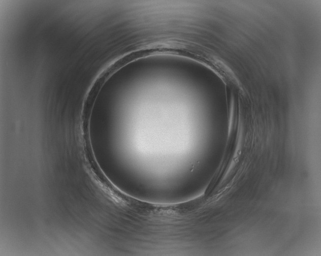 X0000073510784200607311317