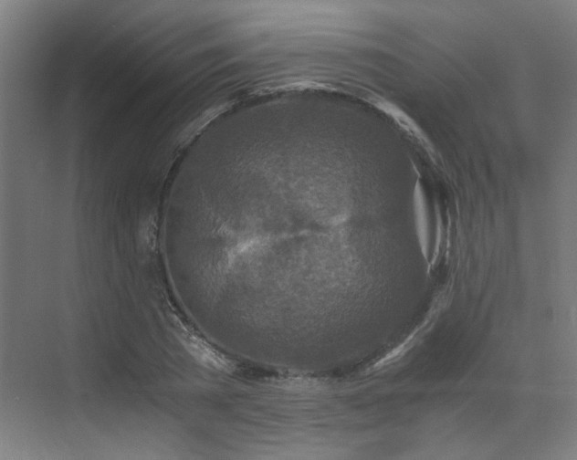 X0000073510785200607311317