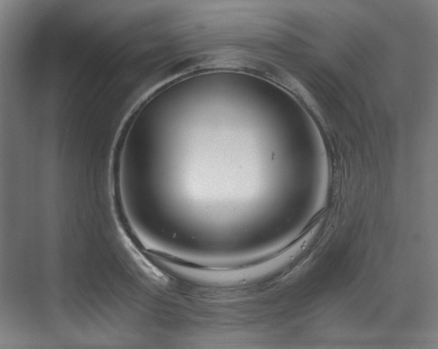 X0000073510795200607311317