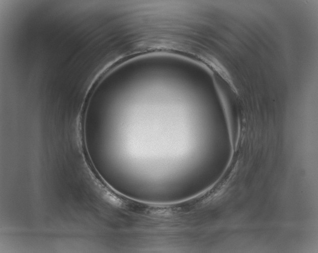 X0000073510798200607311317