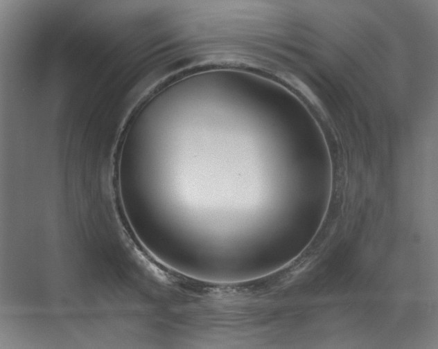 X0000073510799200607311317