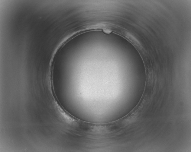 X0000073510800200607311317
