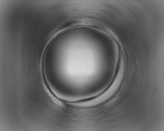 X0000073510803200607311317