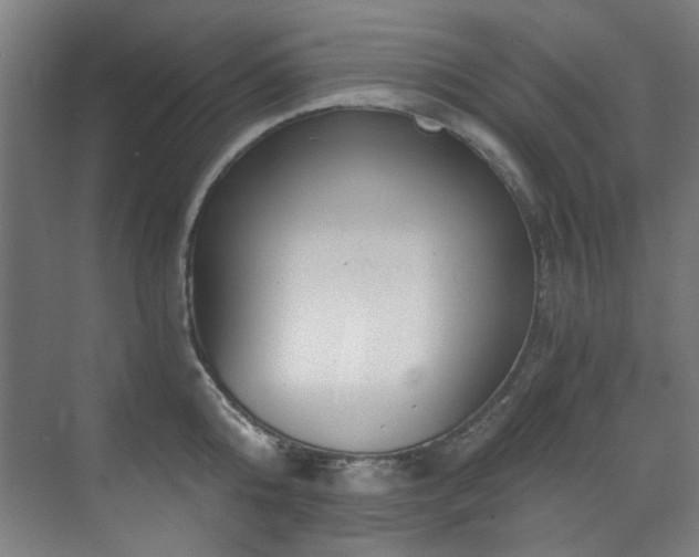 X0000073510808200607311317