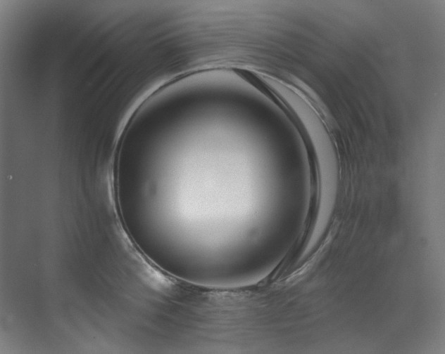 X0000073510812200607311317