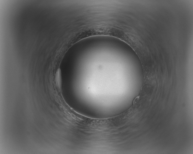 X0000073510817200607311316