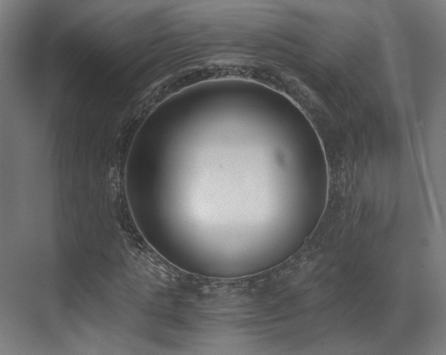 X0000073510821200607311316