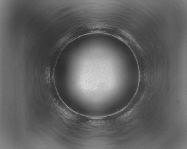 X0000073510825200607311316