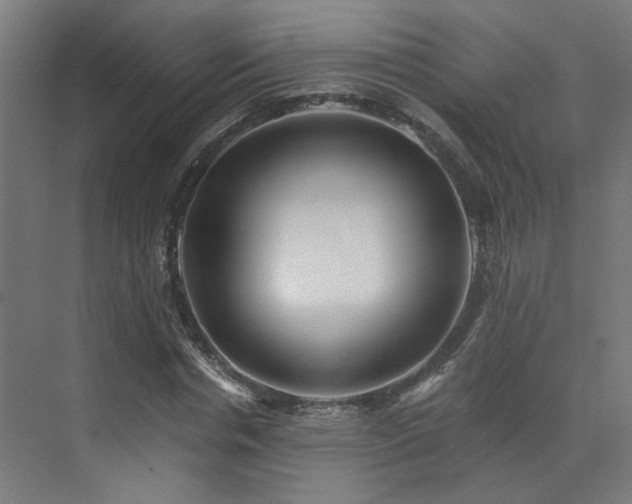 X0000073510826200607311316