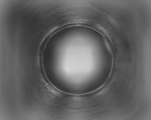X0000073510827200607311316