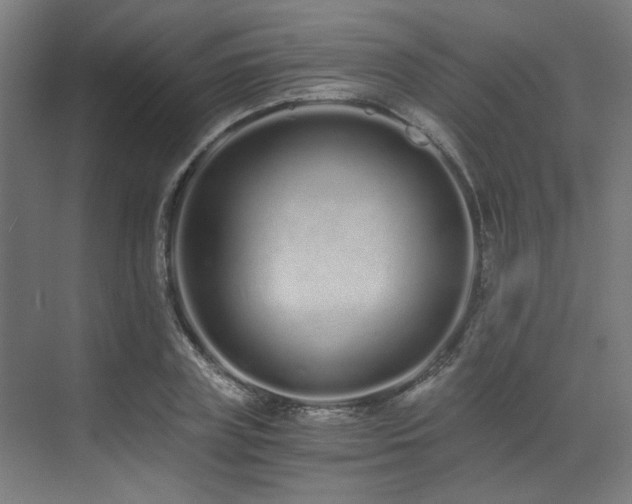 X0000073510835200607311316