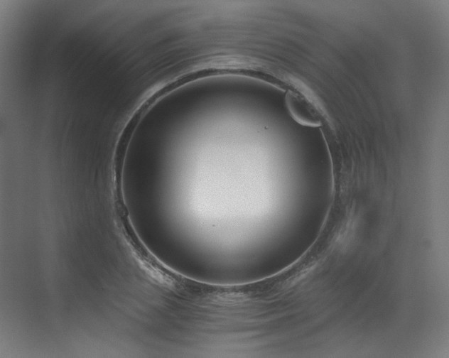 X0000073510837200607311316