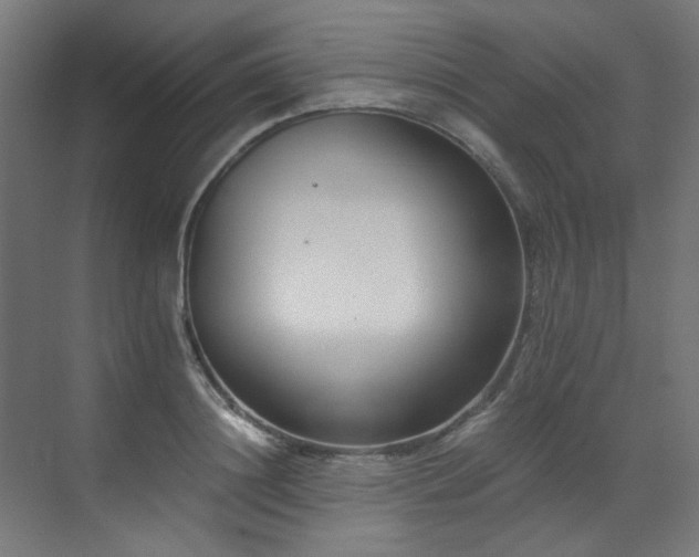 X0000073510844200607311316