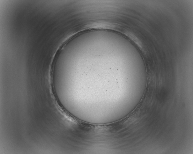 X0000073510848200607311316