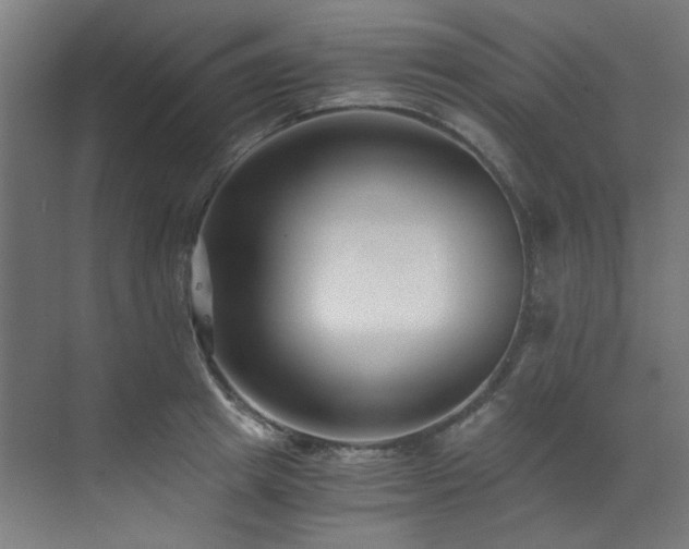 X0000073510849200607311316