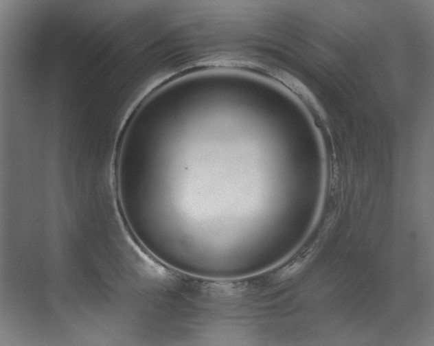 X0000073510855200607311317