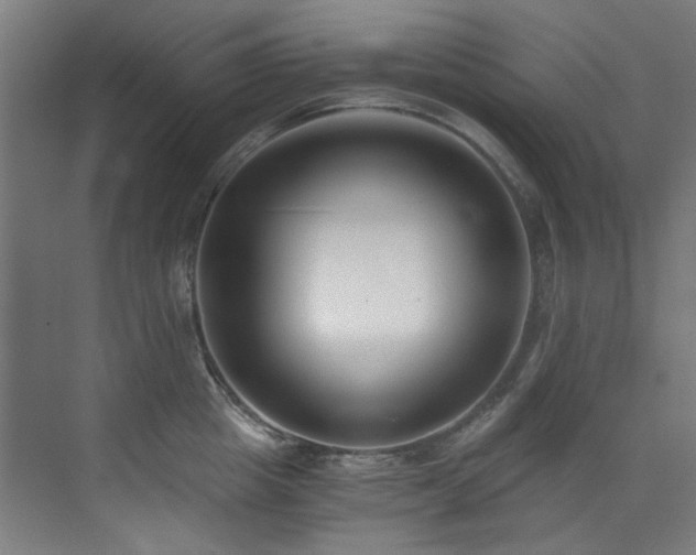 X0000073510857200607311317