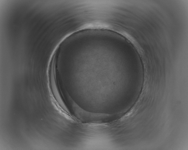 X0000073510864200607311317