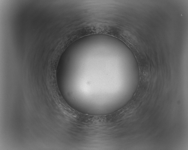 X0000073510865200607311316