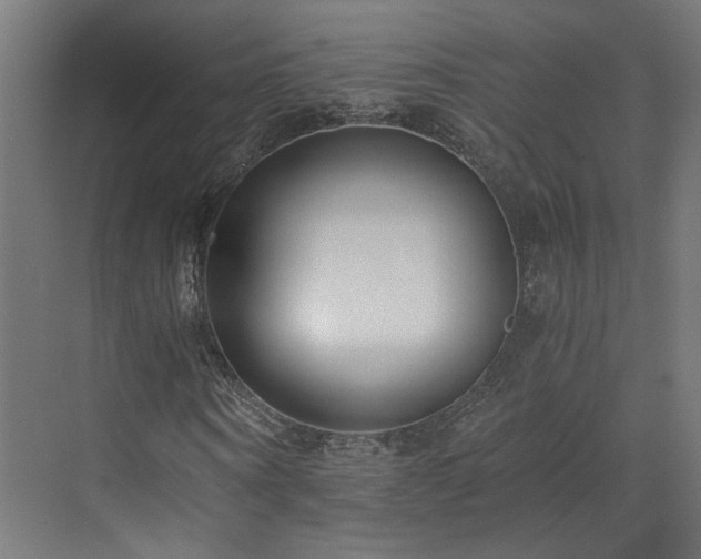 X0000073510866200607311316