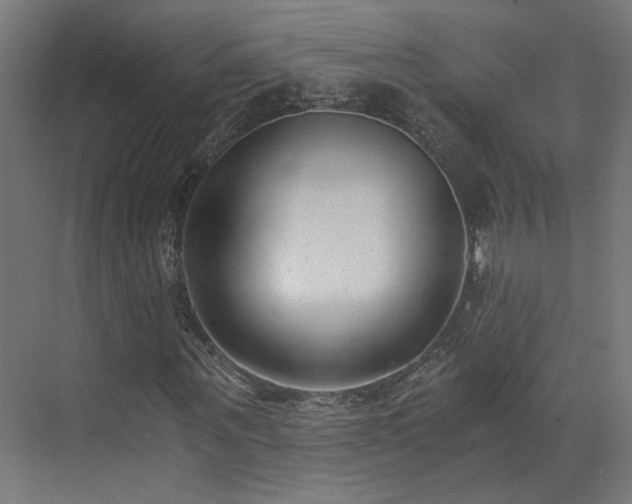 X0000073510867200607311316