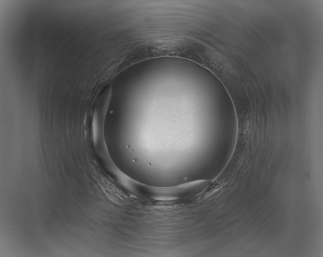 X0000073510868200607311316