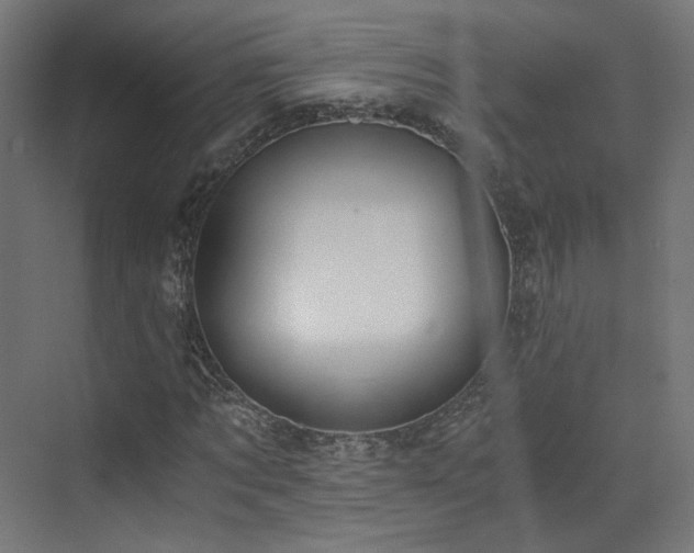 X0000073510869200607311316