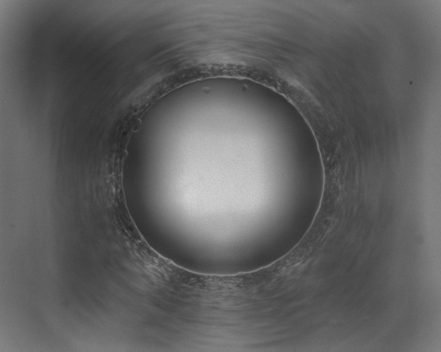 X0000073510870200607311316