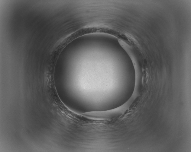 X0000073510872200607311316