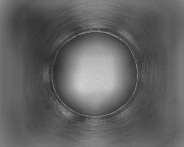 X0000073510873200607311316