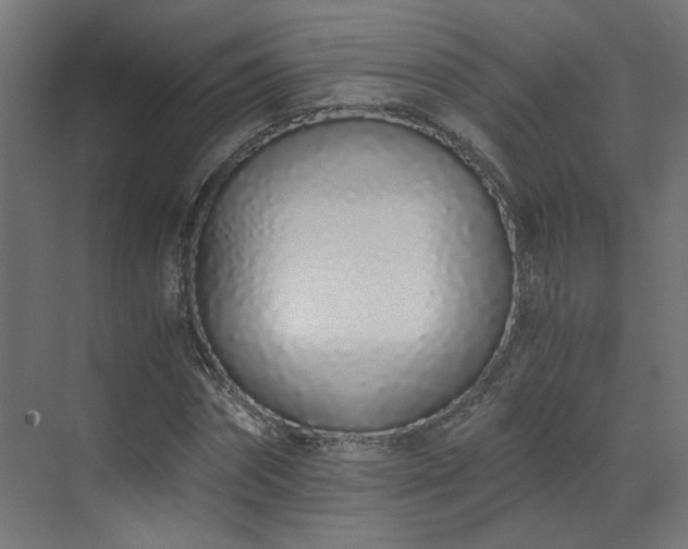 X0000073510874200607311316