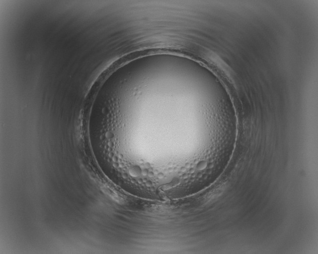 X0000073510875200607311316