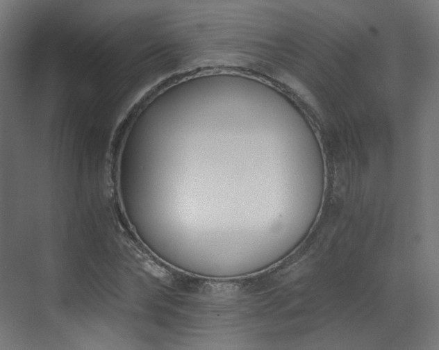 X0000073510878200607311316