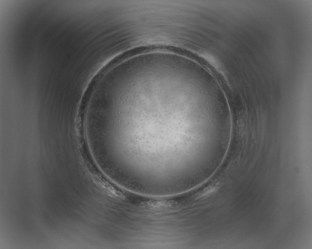 X0000073510879200607311316