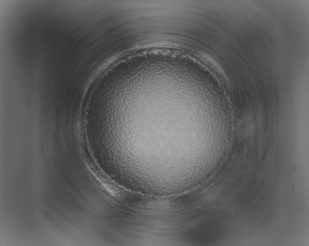 X0000073510882200607311316