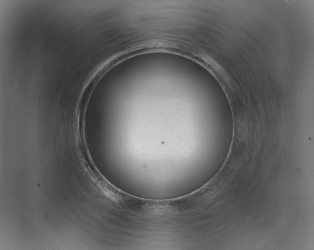 X0000073510886200607311316