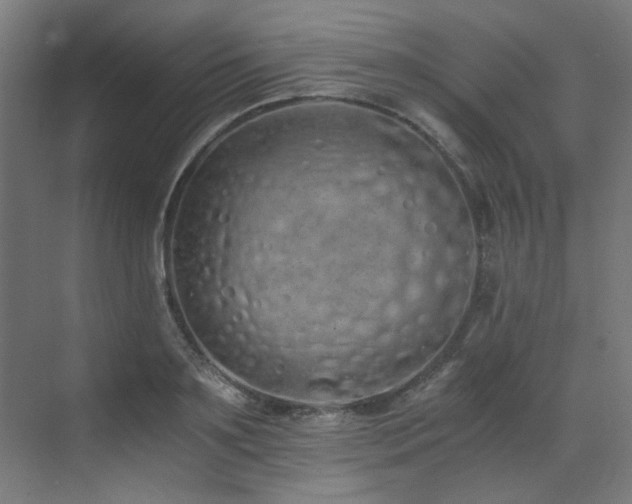 X0000073510891200607311315