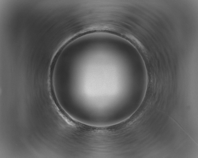 X0000073510894200607311315