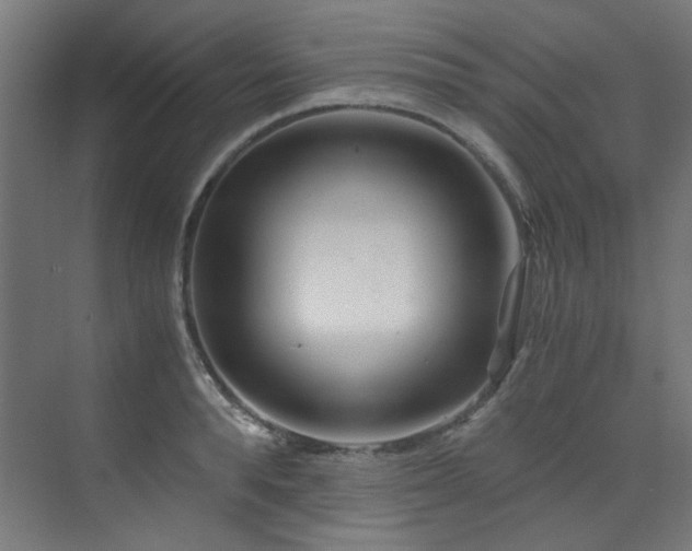 X0000073510896200607311315