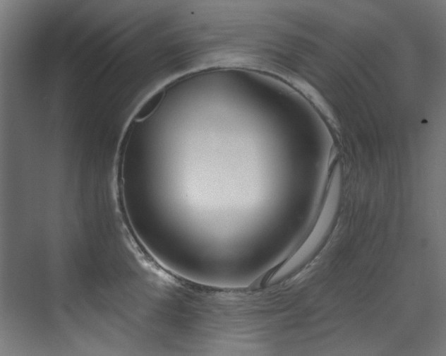 X0000073510904200607311315