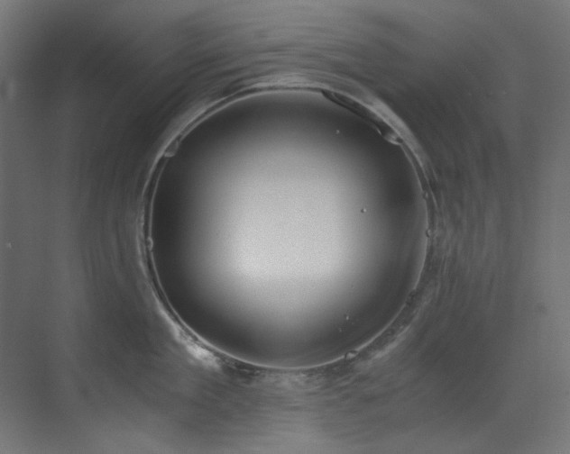 X0000073510909200607311315