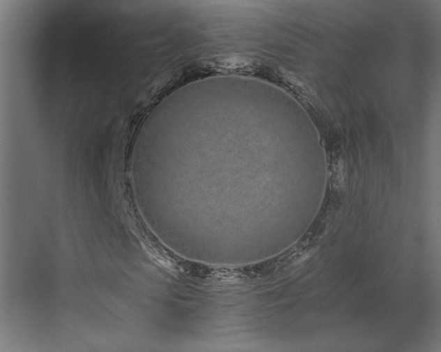X0000073510913200607311314