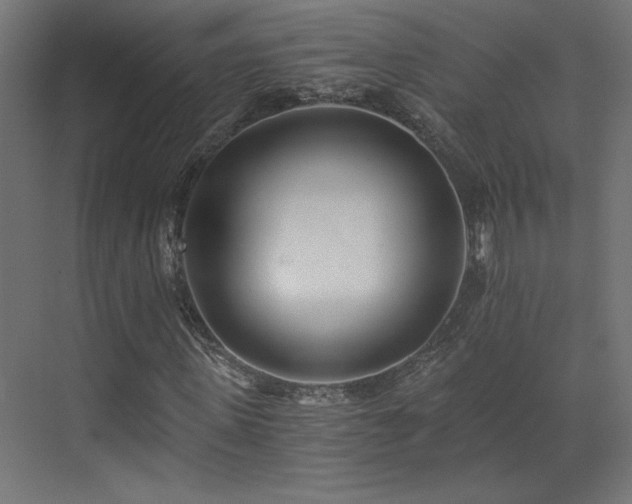 X0000073510915200607311314