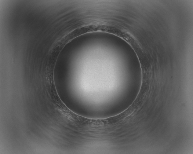 X0000073510919200607311314