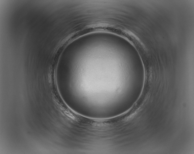X0000073510921200607311314