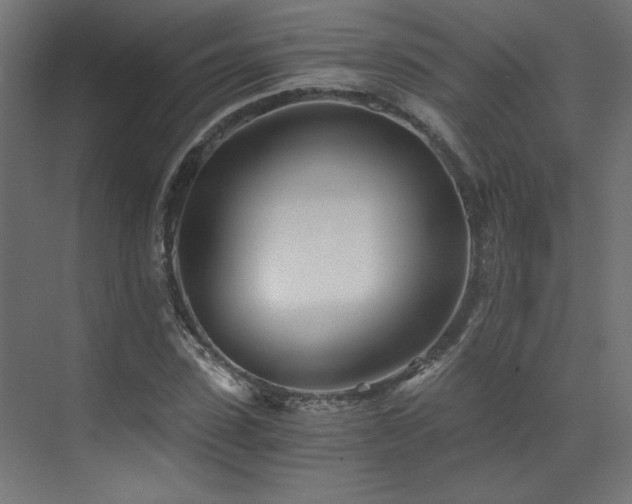 X0000073510923200607311314