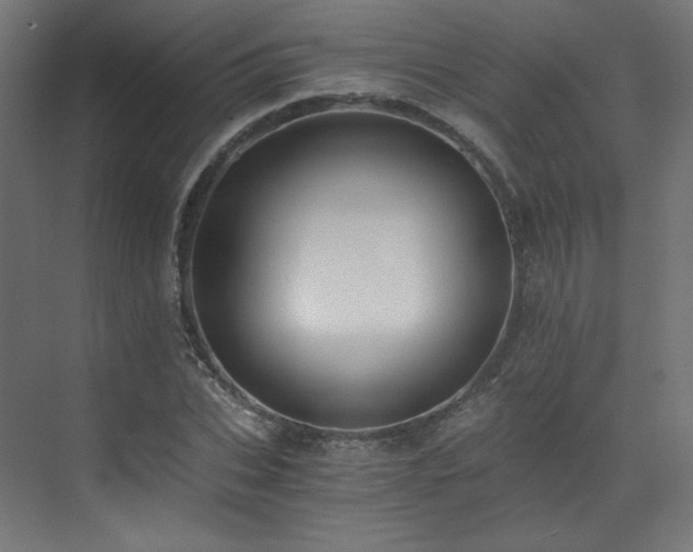 X0000073510927200607311315