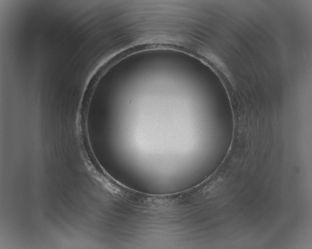X0000073510928200607311315