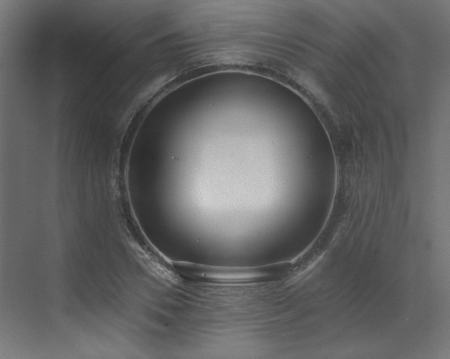 X0000073510930200607311315