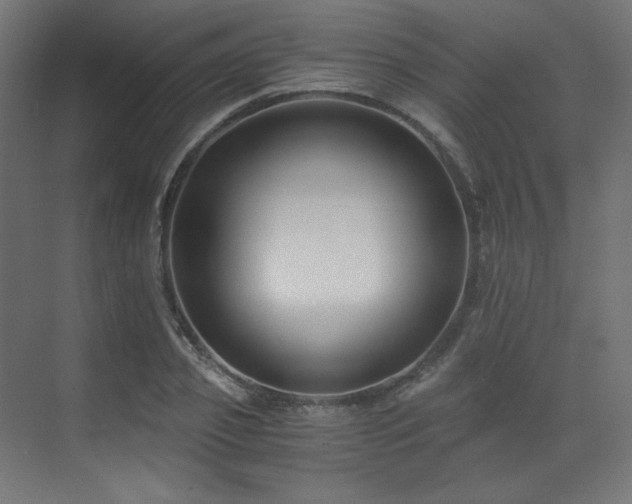 X0000073510933200607311315